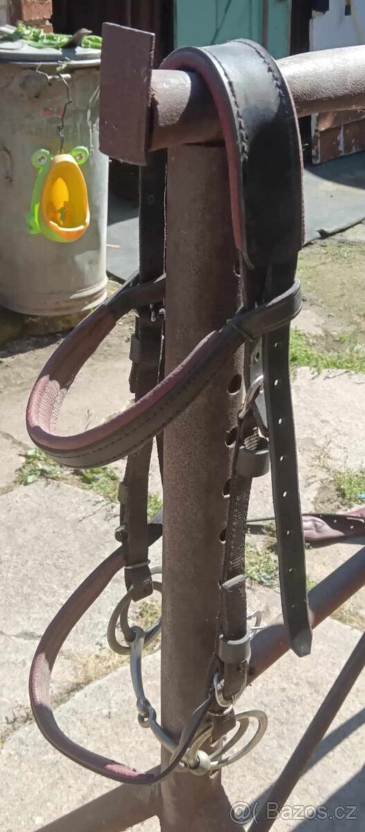 Prodám párové postroje - 3