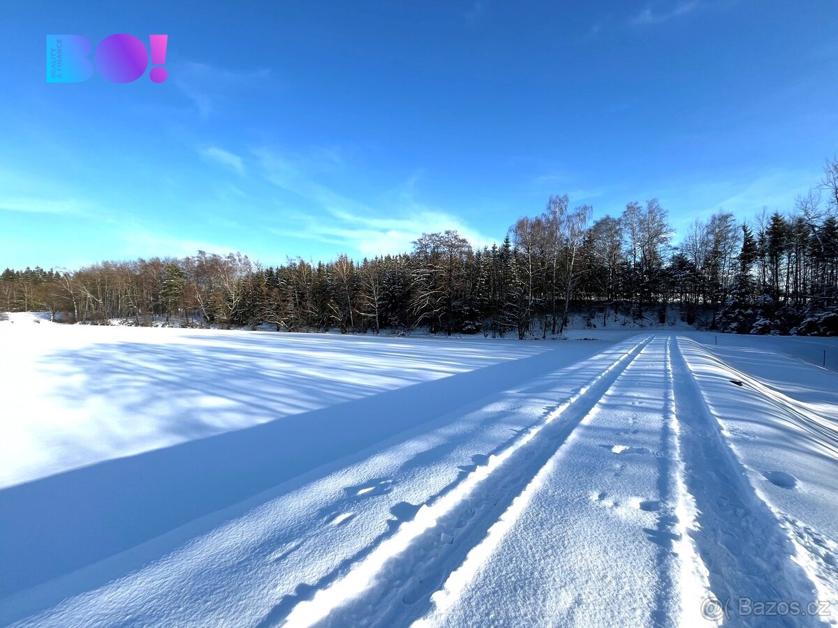 Prodej lesa, 43 856 m², Stržanov - 3