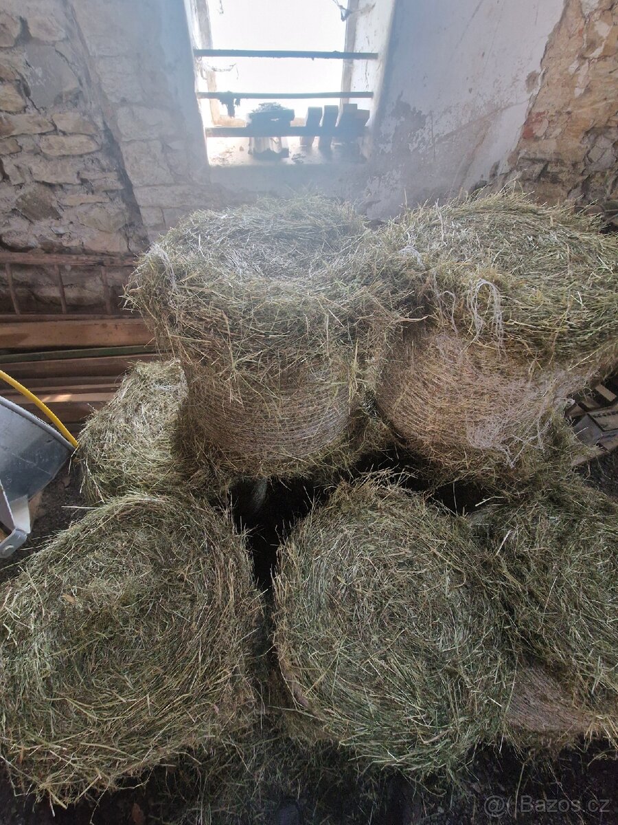Malé balíky - seno - 3