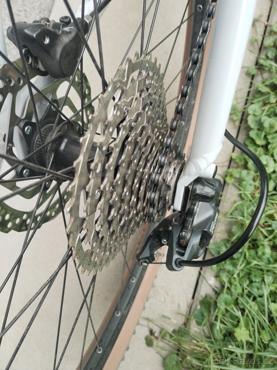 Horske kolo Focus - 3