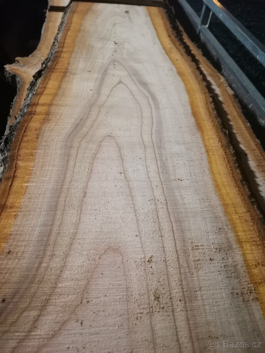 Fošny třešeň ptačí - 3