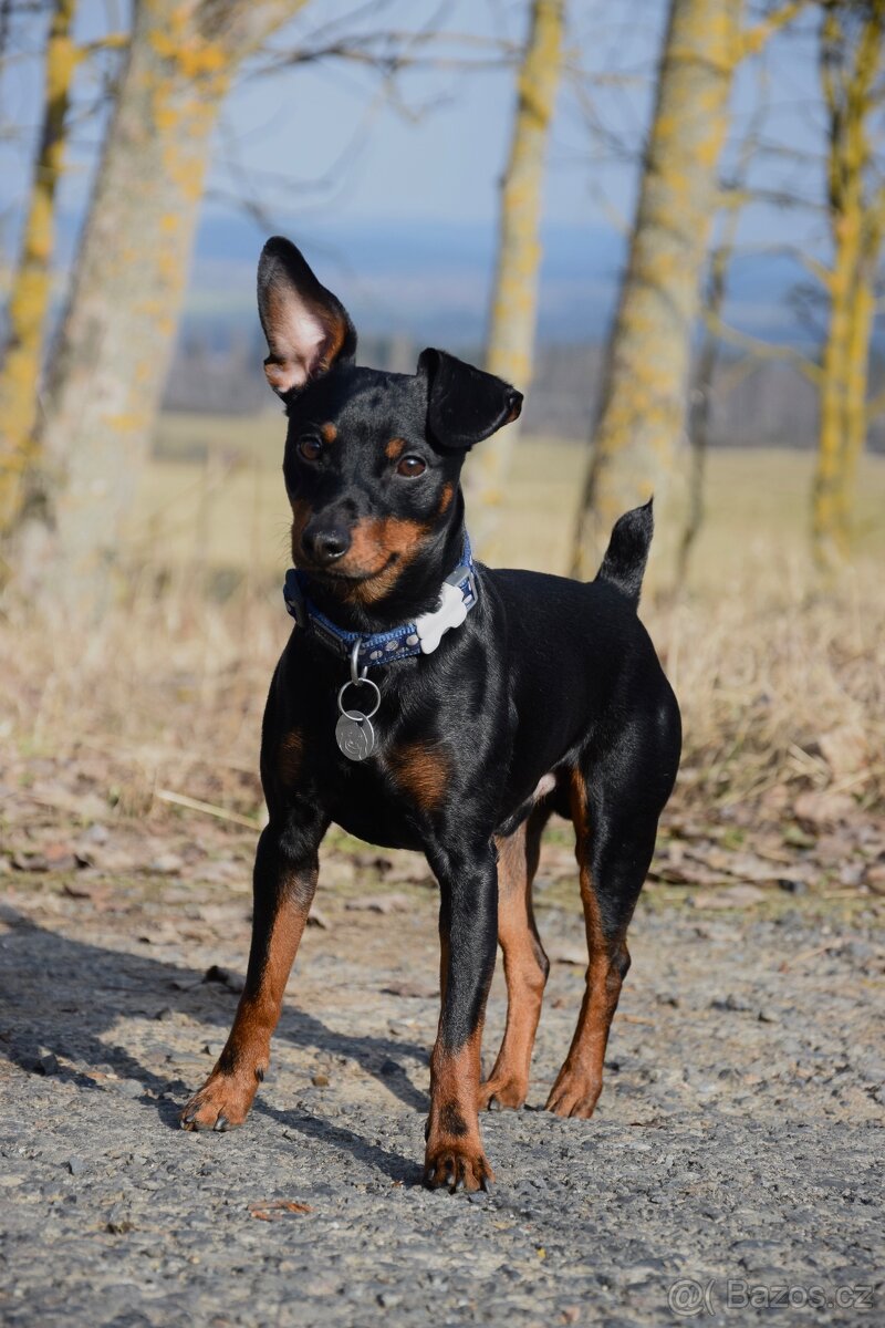 Nabídka ke krytí - 3