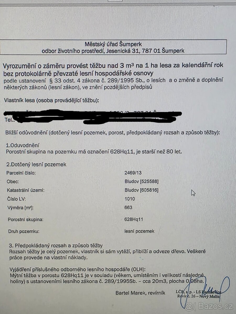 Prodám les v Bludově - 3