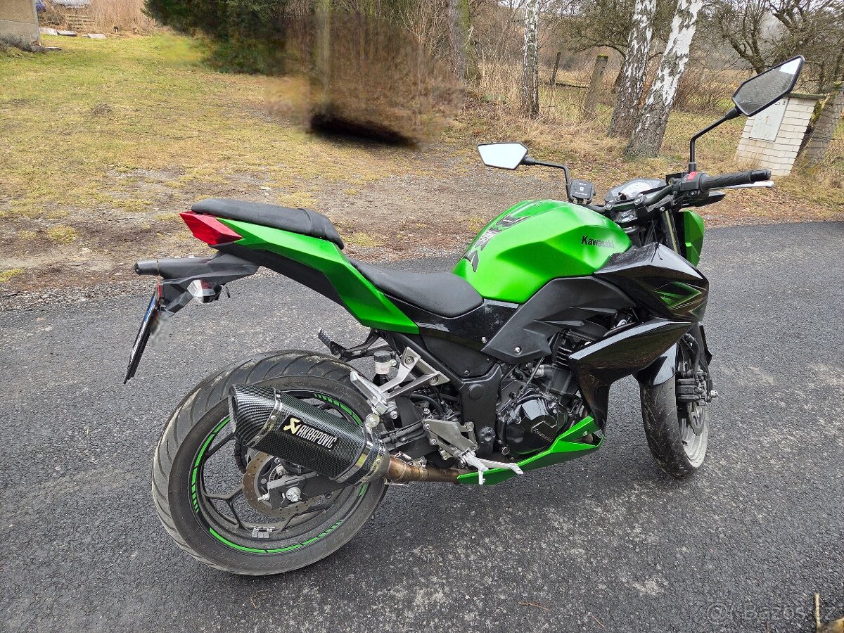 Kawasaki Z300 - 3