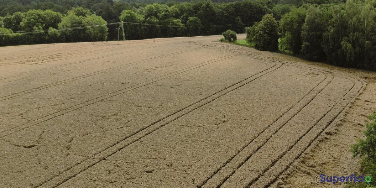 Prodej pole 3681 m² Vyskeř - 3