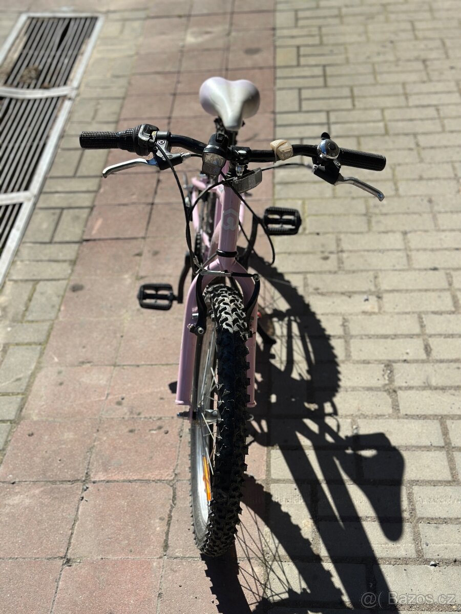 Arcore Christie 20” - 3