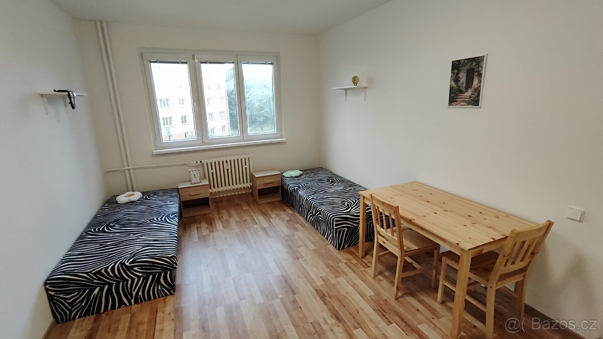 (724) Pronájem, byt 2+1, 53 m, Čs. armády 135, Habartov - 3