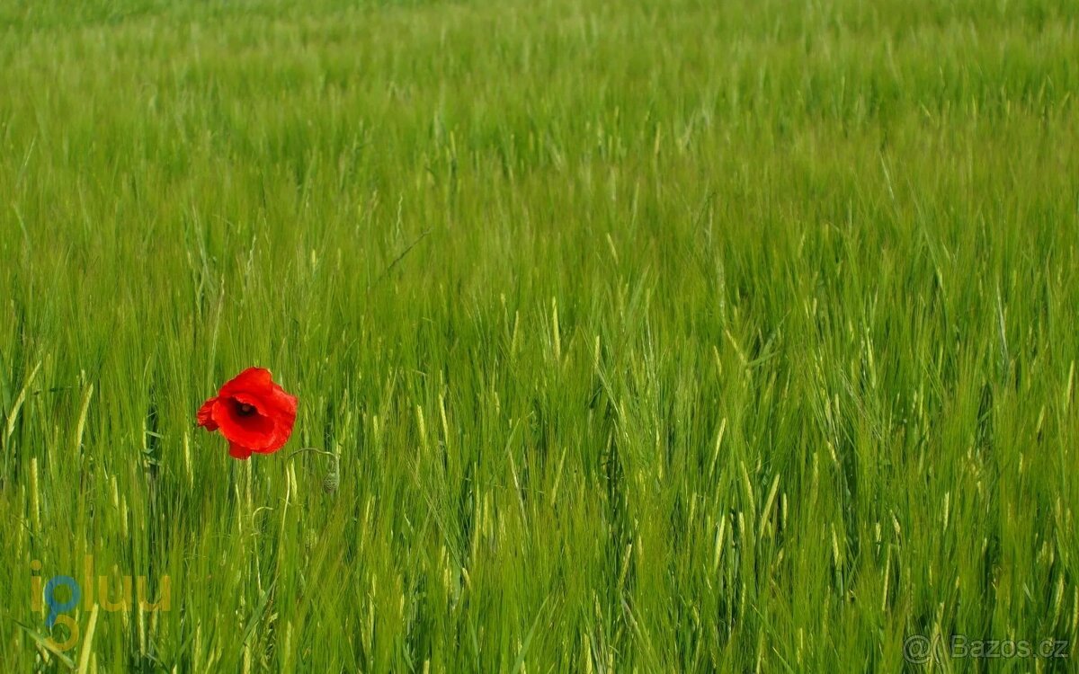 Nabízíme k prodeji exkluzívní byt s panoramatickým výhledem, - 3