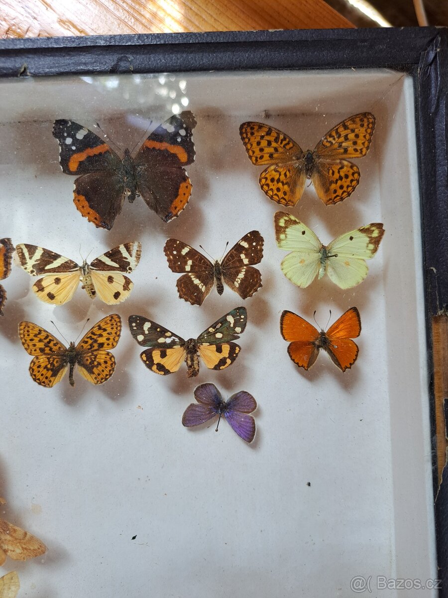 Zbierka M O T Ý Ľ O V. - 3