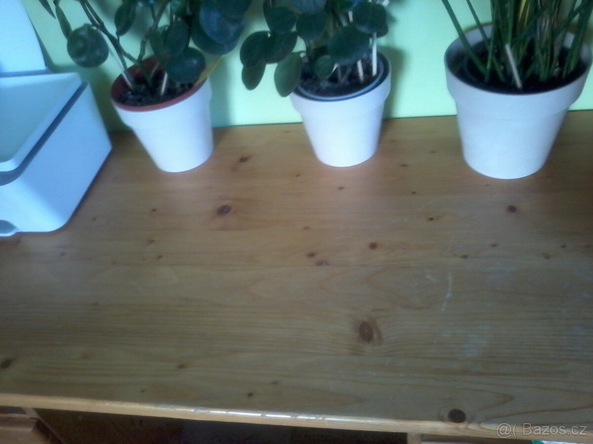 PSACÍ STŮL - BOROVICE - 3