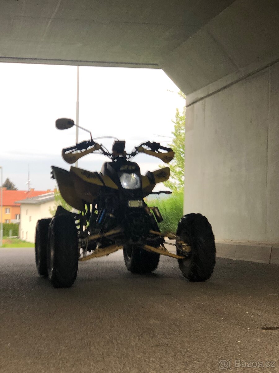 Bashan 250