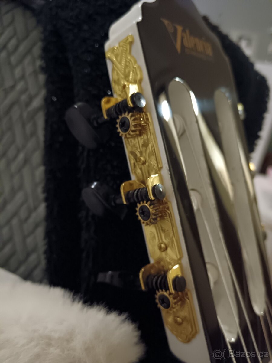 Kytara bílí lesk - 3