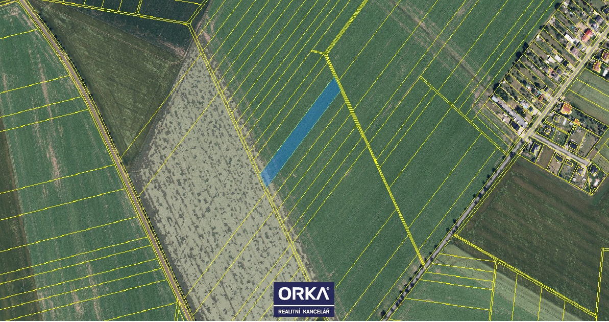 Prodej podílu 2/6 zemědělská půda, 3 949 m2 - Luběnice - 3