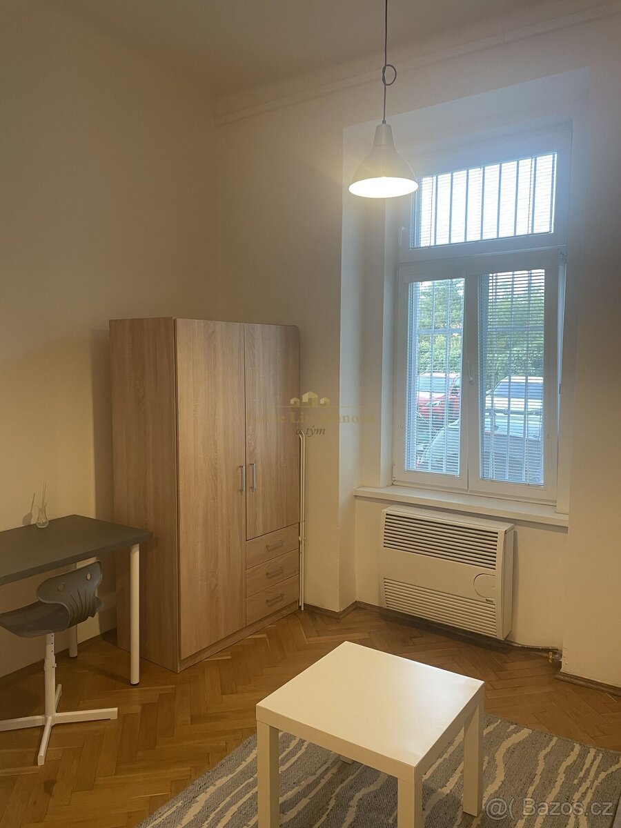 Pronájem bytu 1+kk, 17 m², Praha 10 – Vršovice, ulice Holand - 3