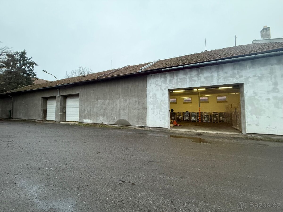 Bzenec-prostory k pronájmu - 3