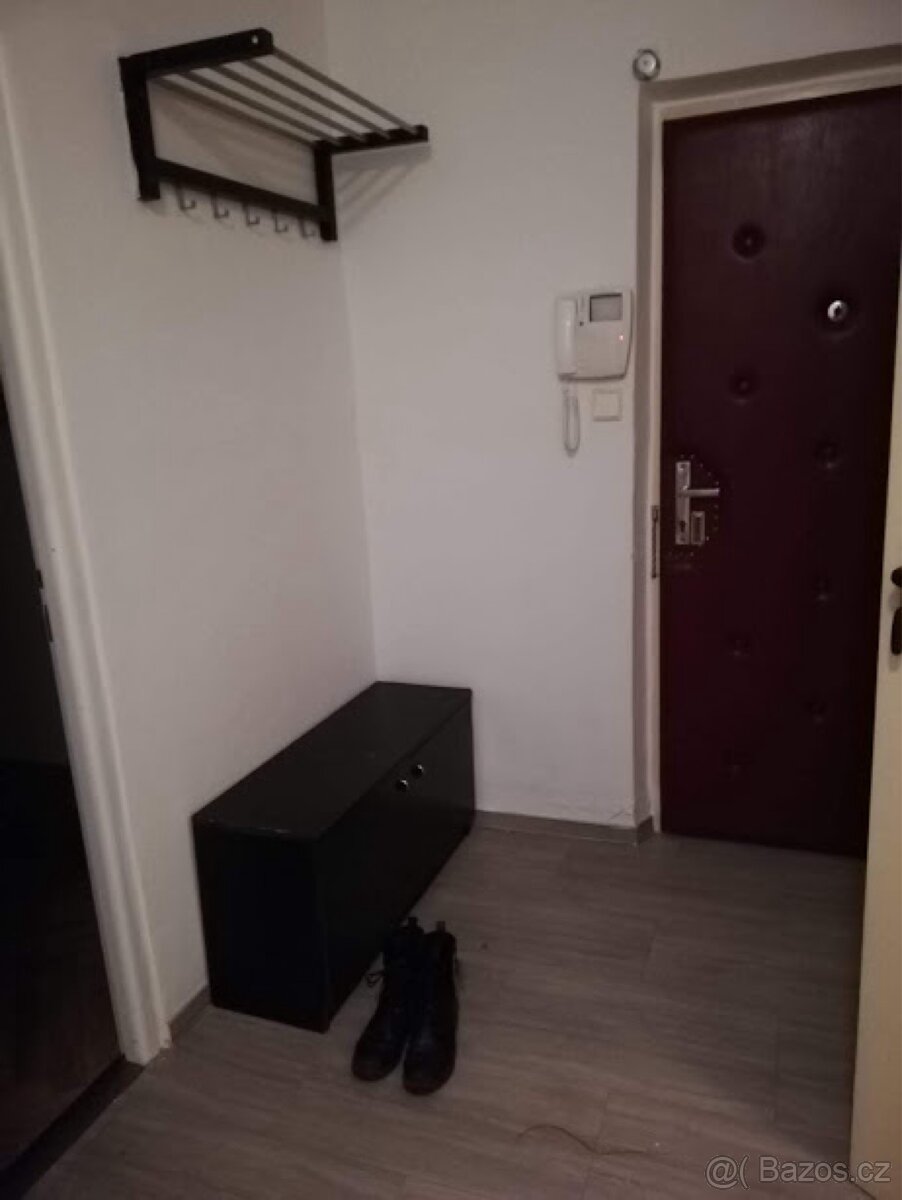 Pronájem bytu 2+1 - 3