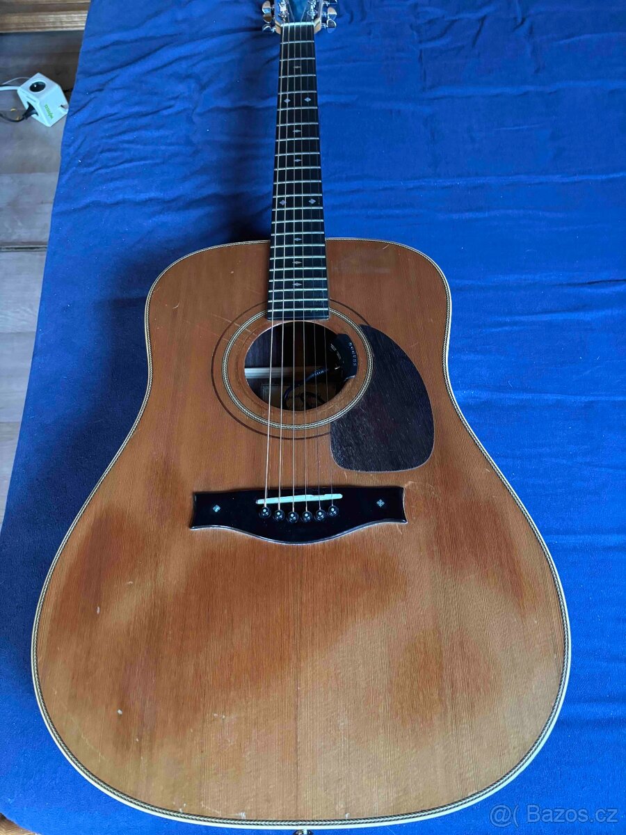 Kytara Pavlů celo masiv Cedr - 3