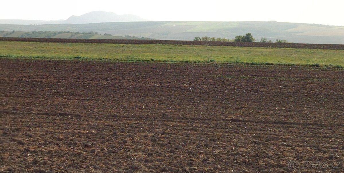 Prodej pole 3000 m² Velké Němčice - 3