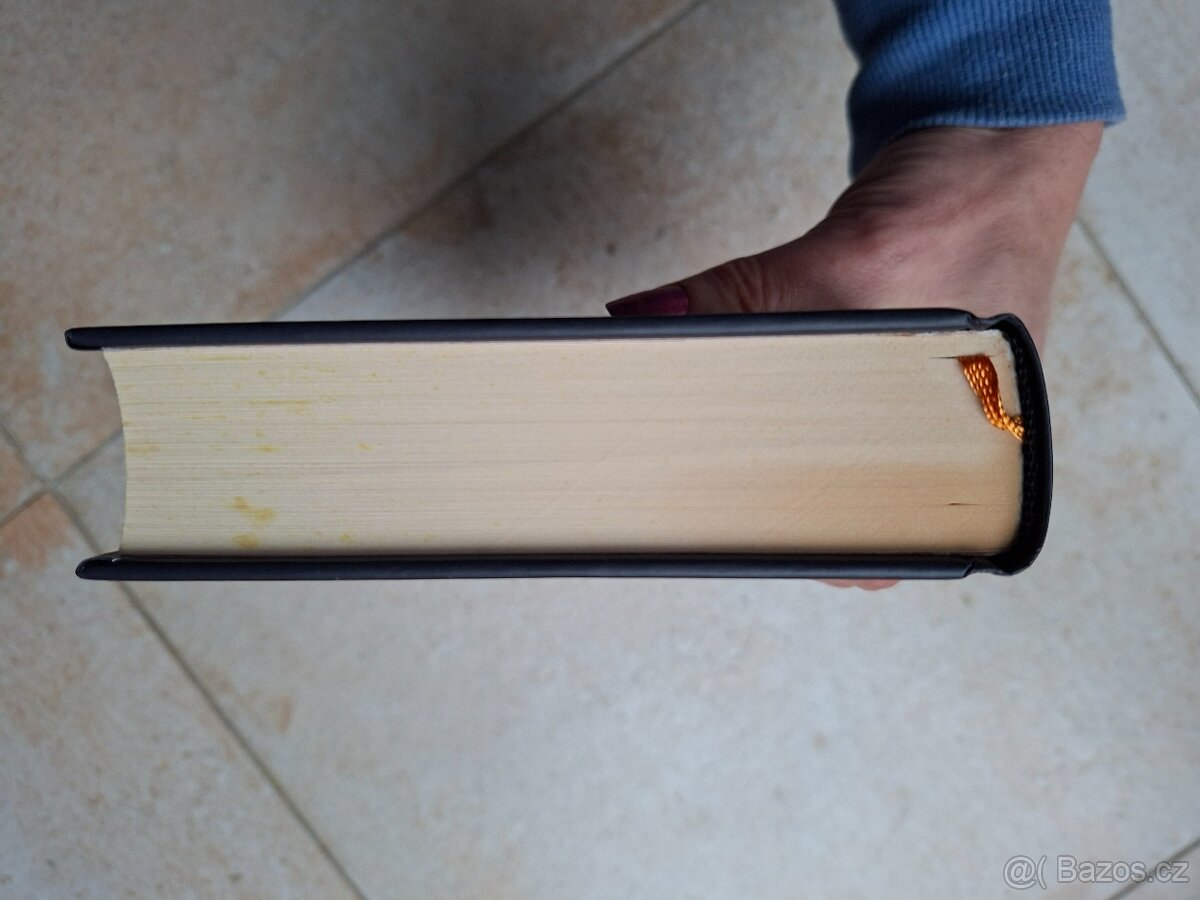 Kniha Danielle Lori - Šílena posedlost - 3