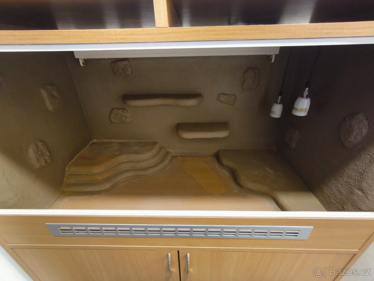 Terarium pro agamu vousatou - 3