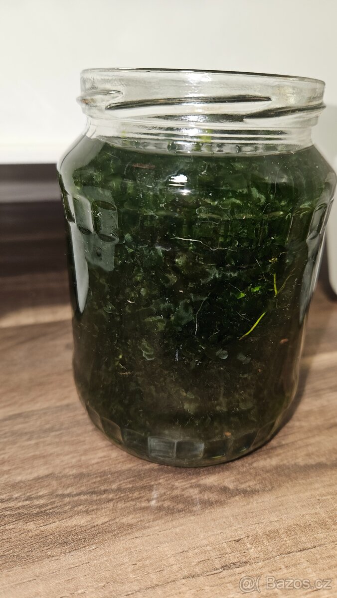 Rostliny pro akvárium - 3