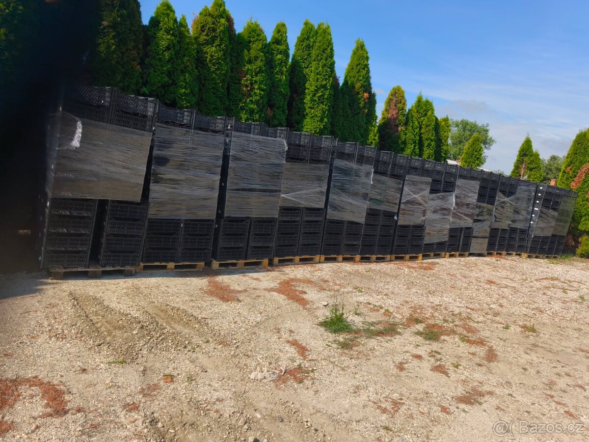 Plastove bednicky prepravky cena 0,30cent za ks - 3