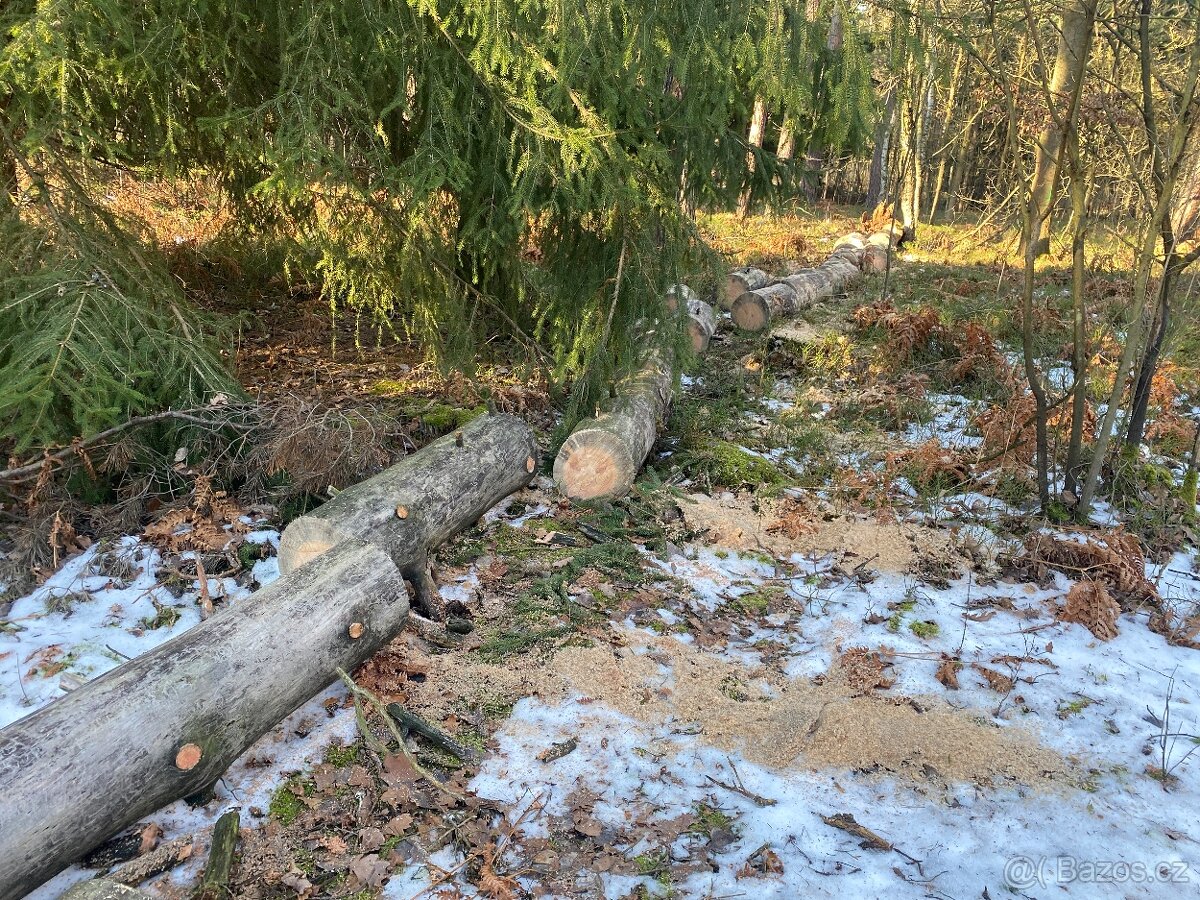 Dřevo na odvoz - 3