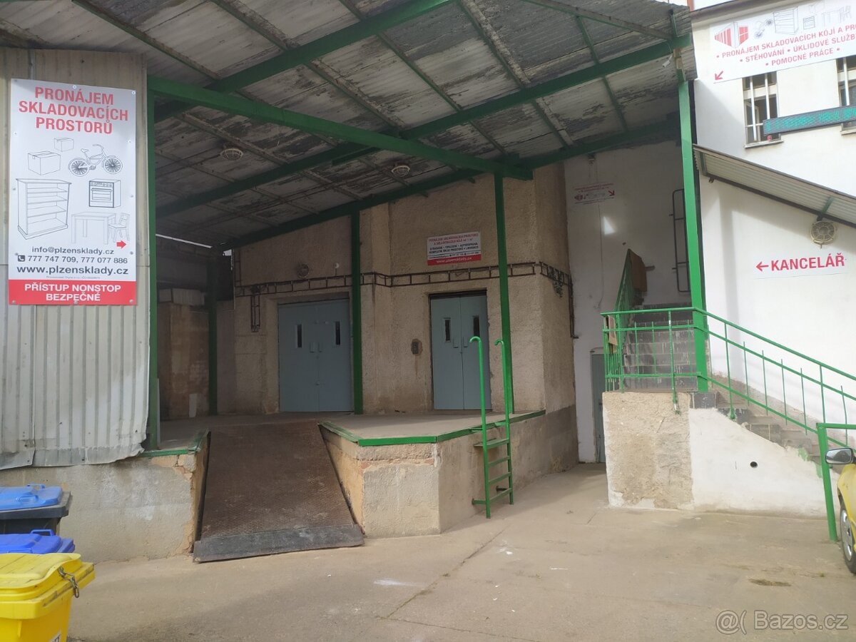 SLADOVACI KOJI PLZEN. - 3