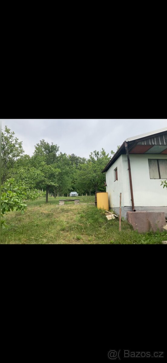 Prodej sadu 1592m2 - 3