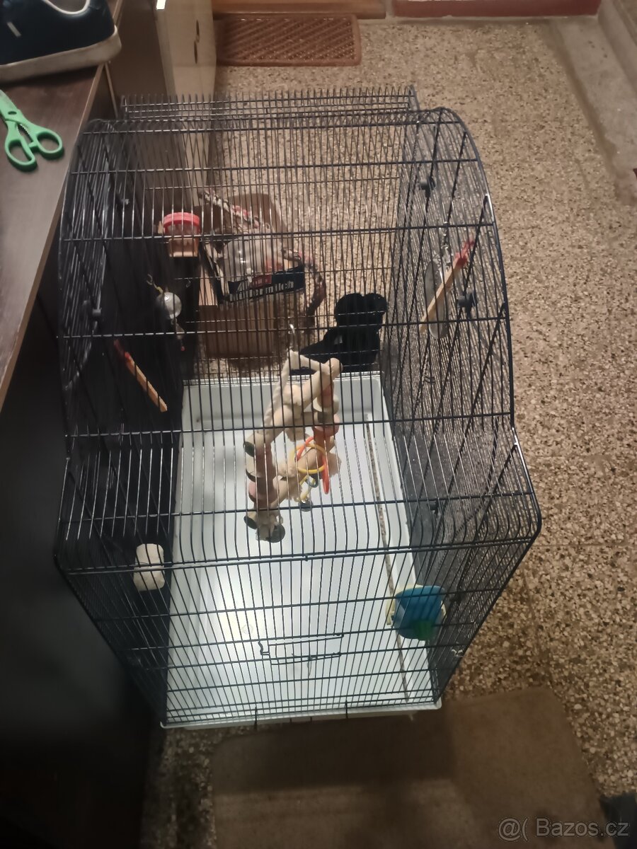 Klec pro papouška - 3