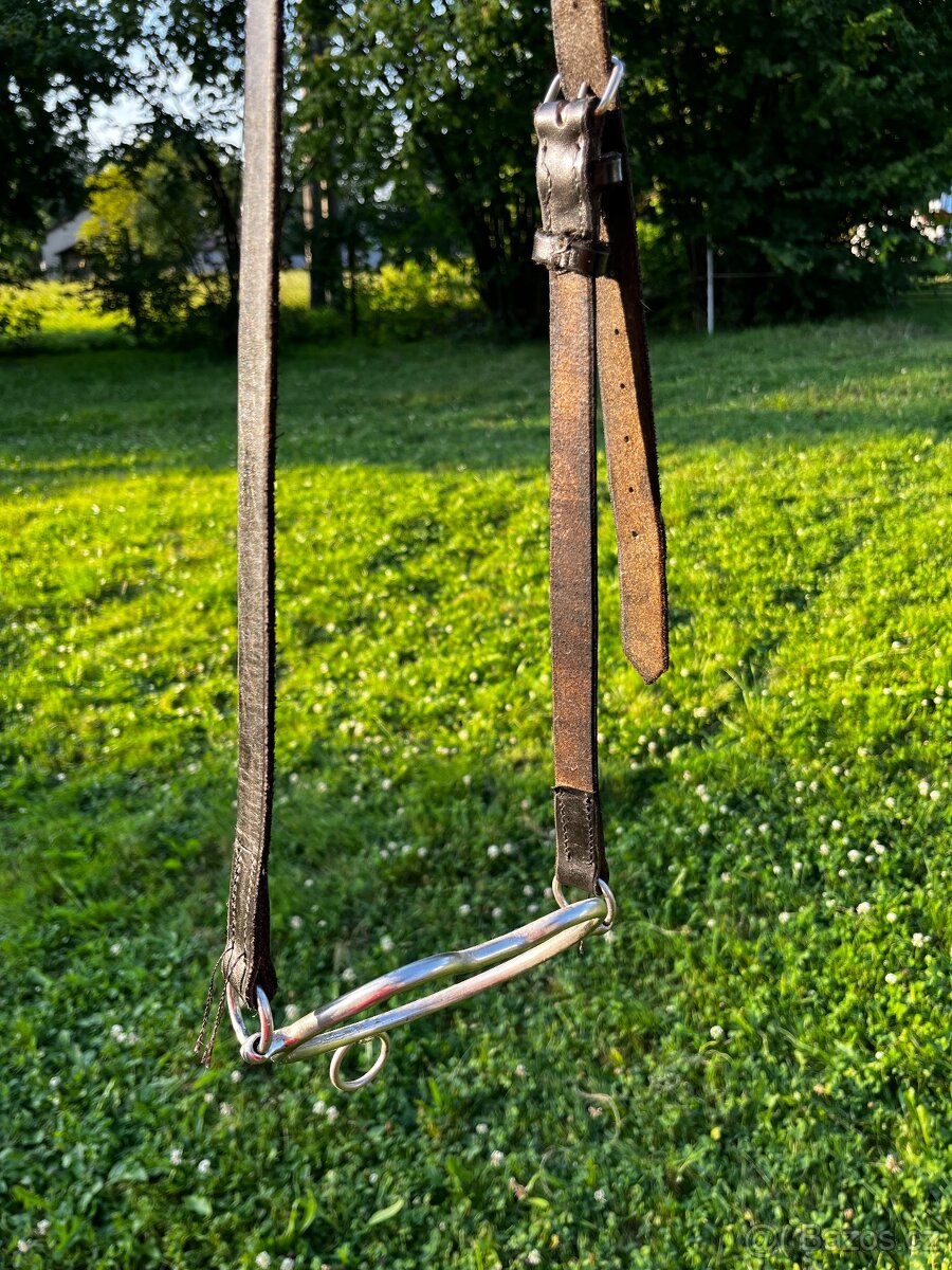 Kompletní štajgr - 3