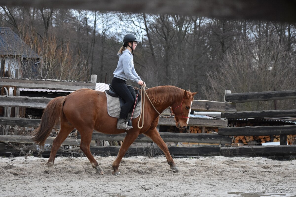 Výcvik koní - 3