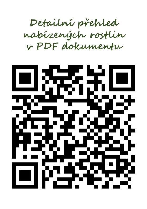 Trvalky, okrasné rostliny - 3