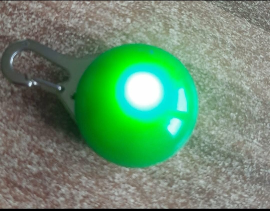 Nové blikající obojky pro psa - 3