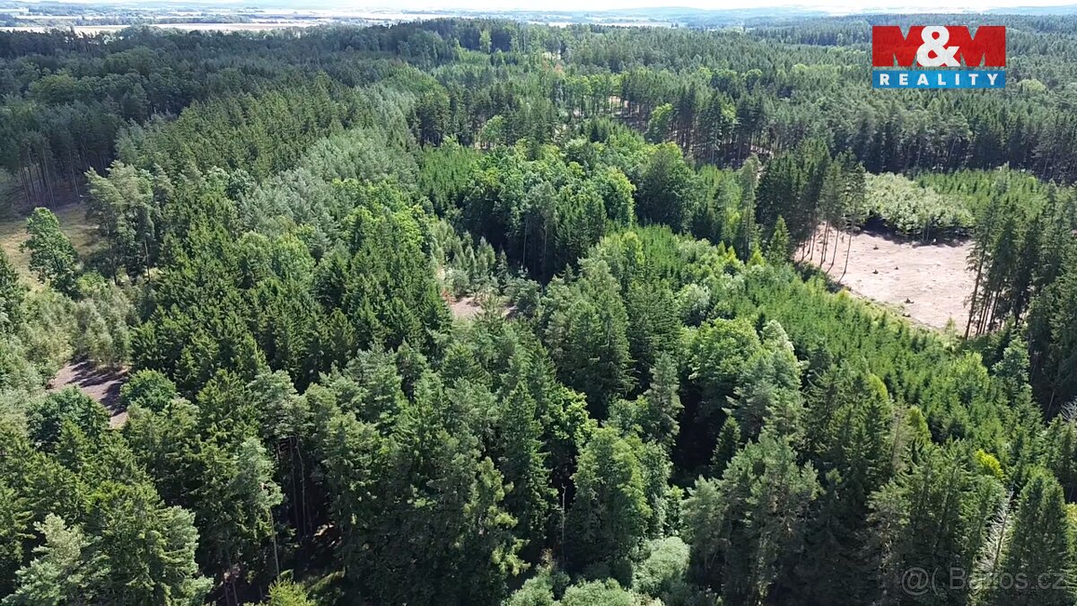 Prodej lesa, 5323 m², Opařany - 3