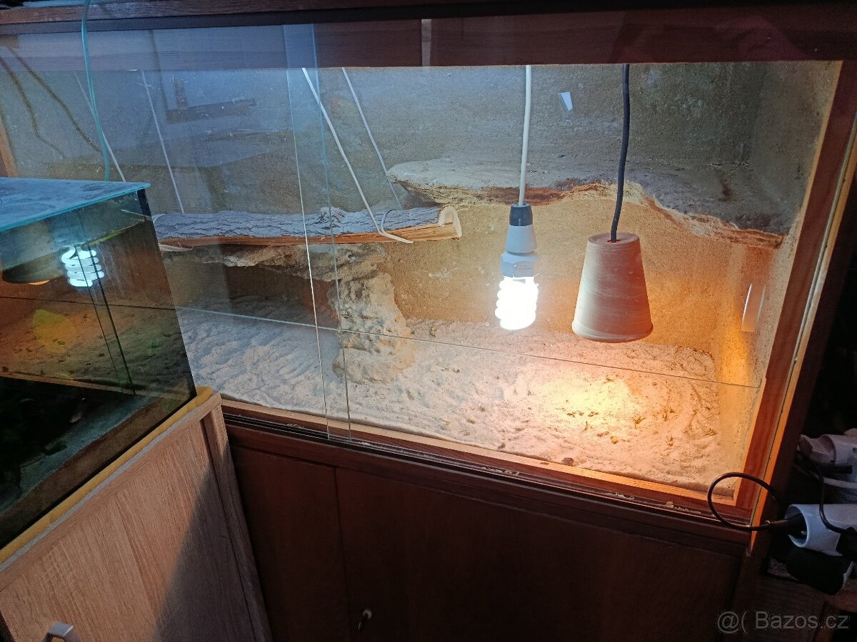 Terárium pro agamu - 3