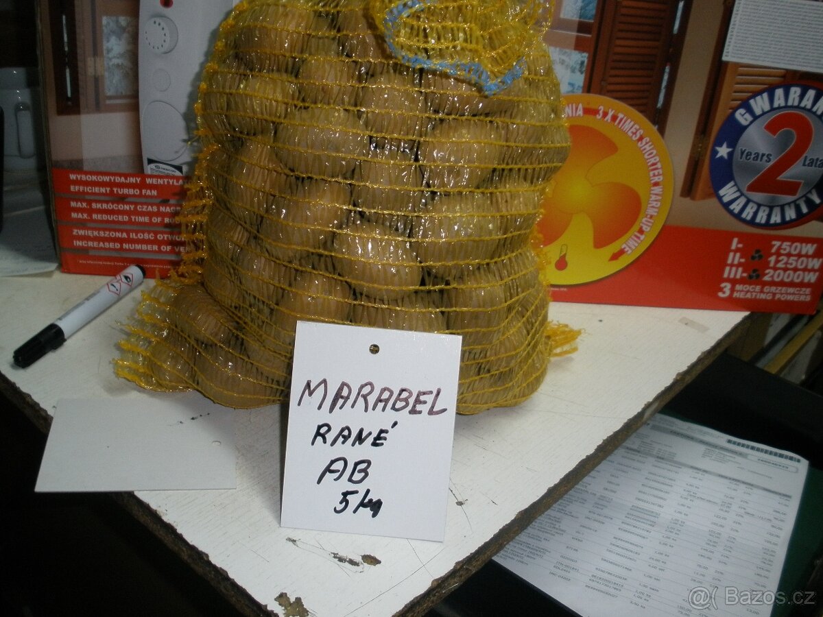 sadbové brambory - 3