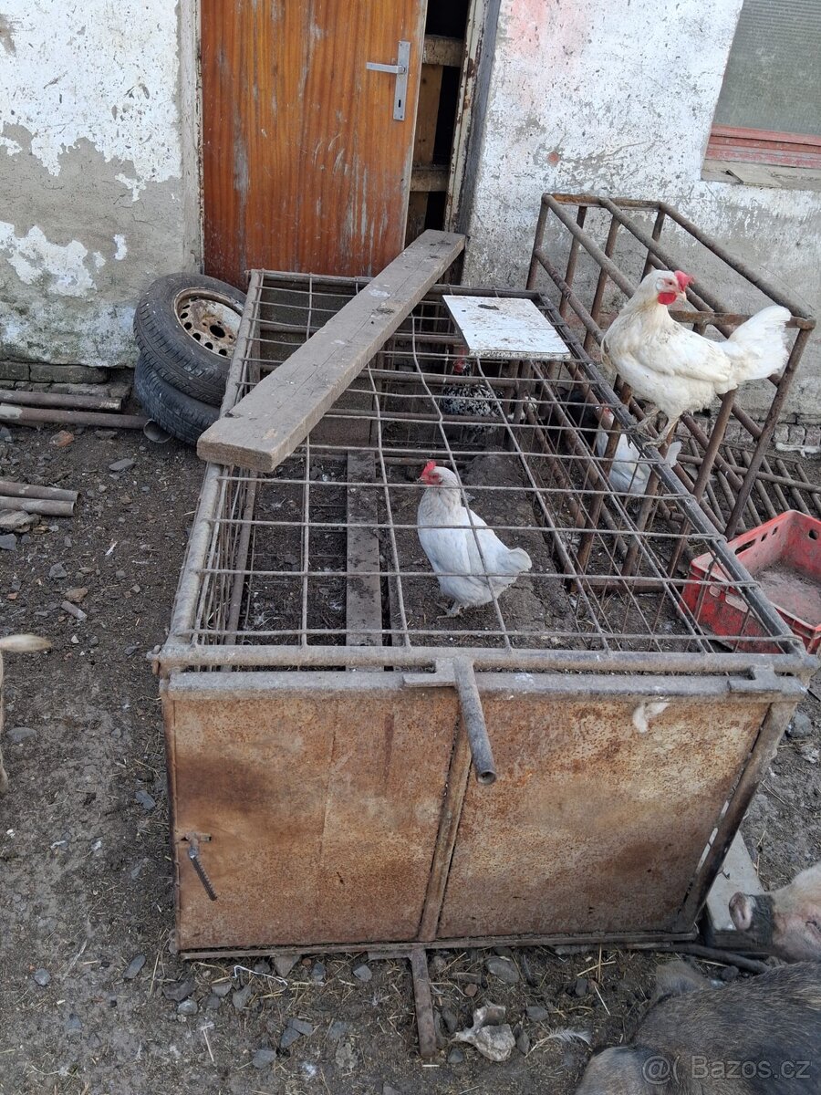 Přepravní klece na domácí zvěř - 3