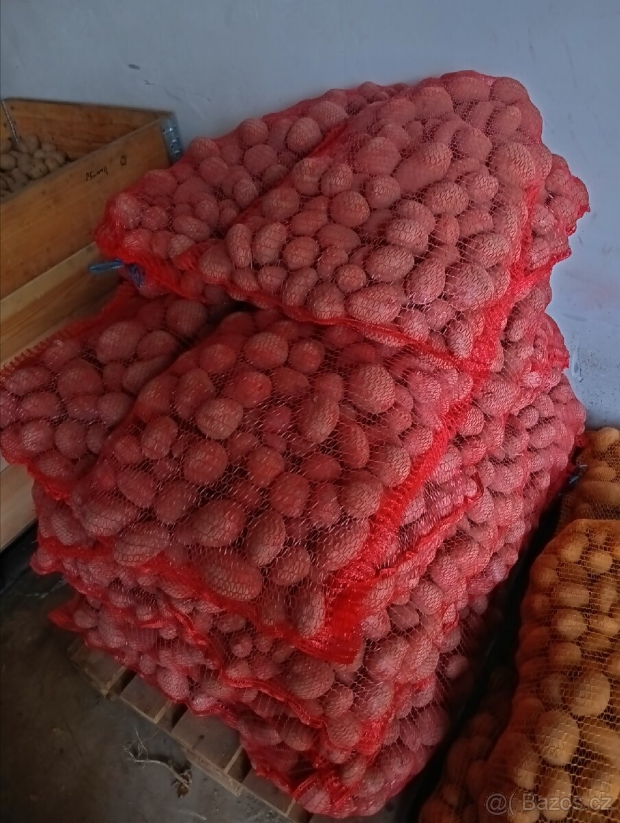 Brambory česnek - 3