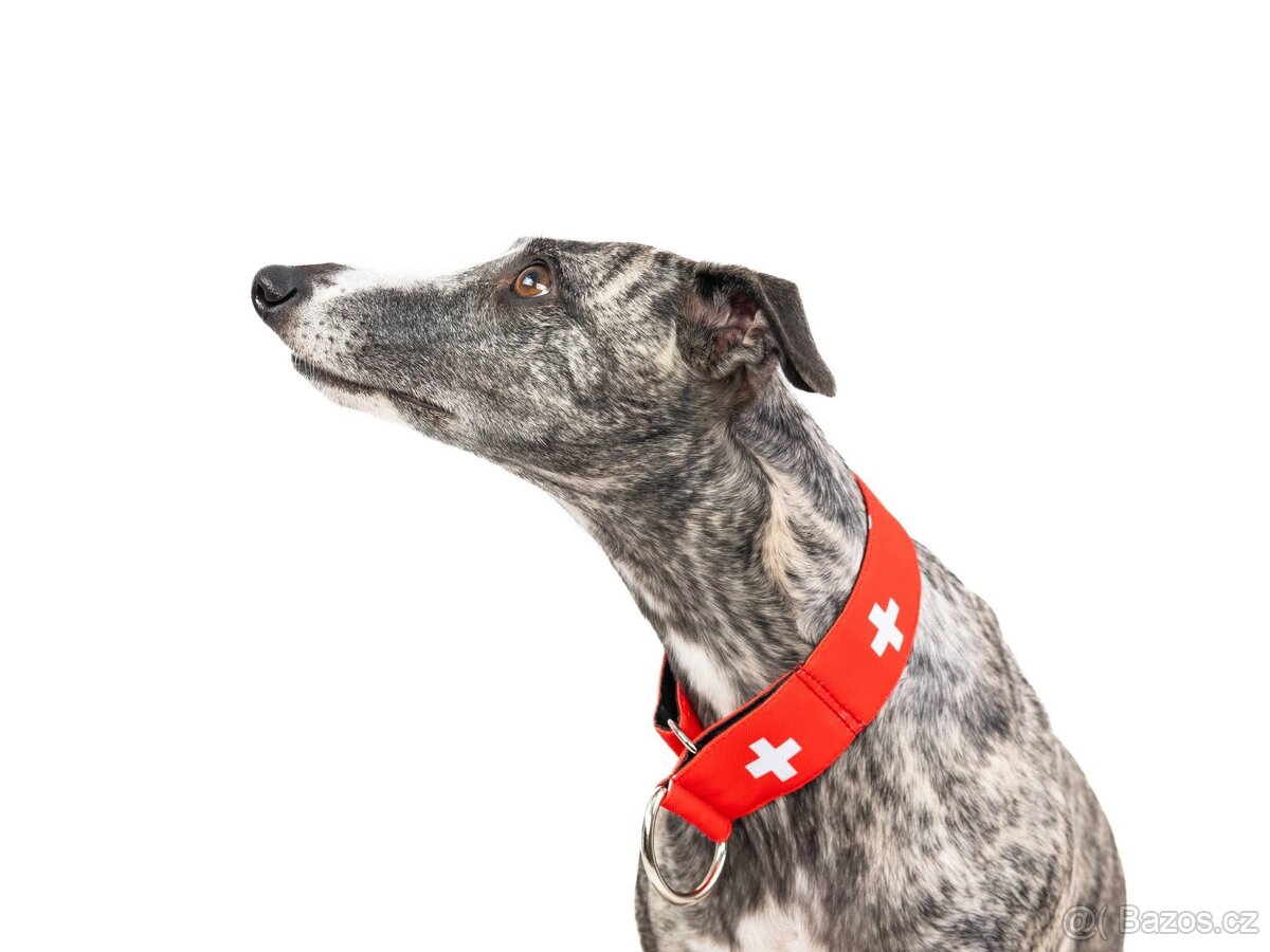 Oblečeni, obojky pro psy - 3