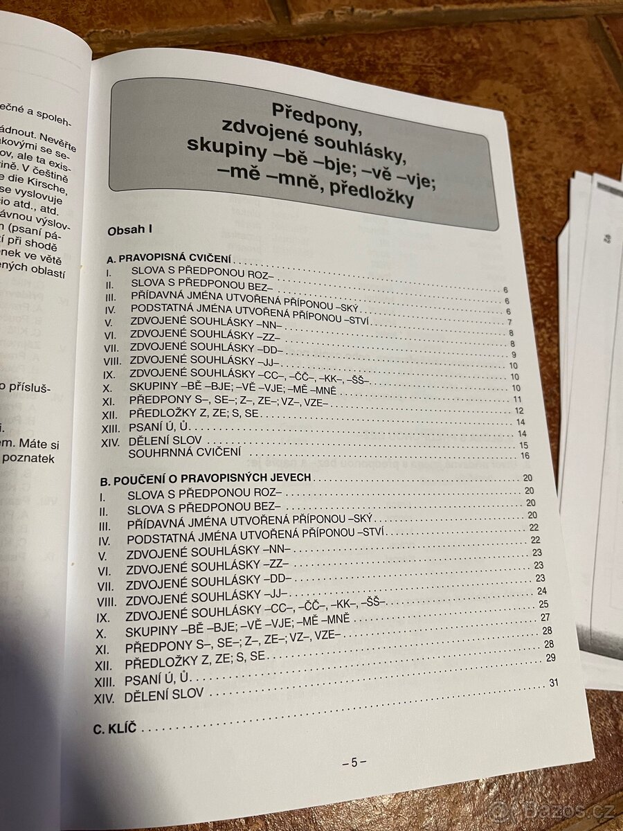 Přehled učiva českého jazyka - 3