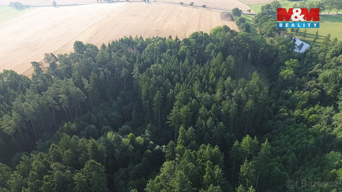 Prodej lesa, 5139 m², Tábor - 3