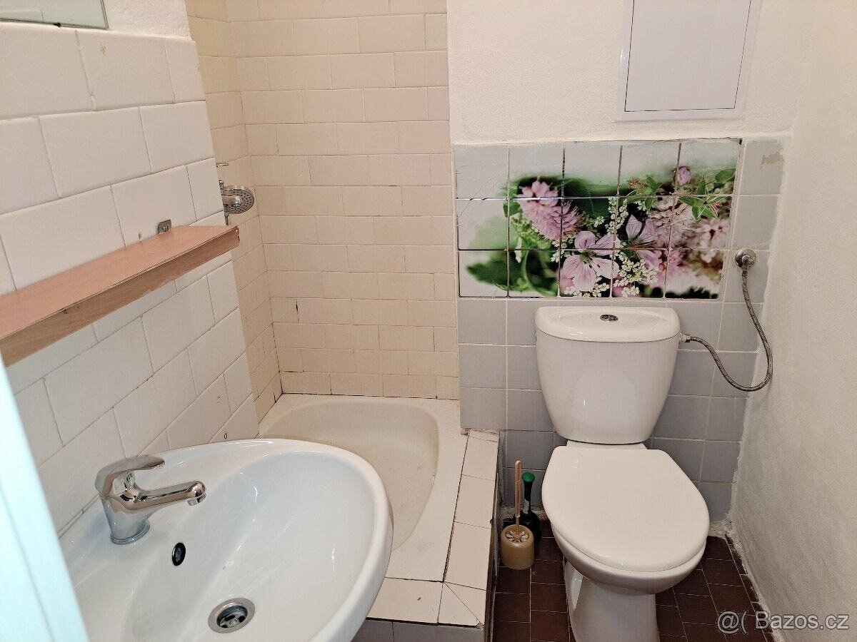1+kk Kopřivnice, možnost zařízení... Cizinci nevadí. Volný. - 3