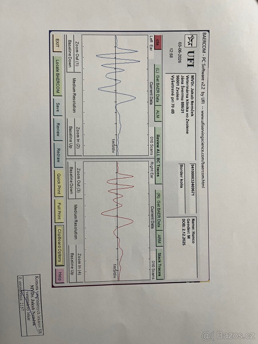 Šteniatko - border kólia - 3