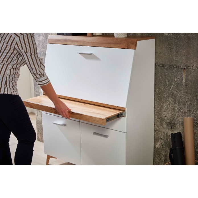 Skříňka - sekretář, psací stúl Rolando - 3