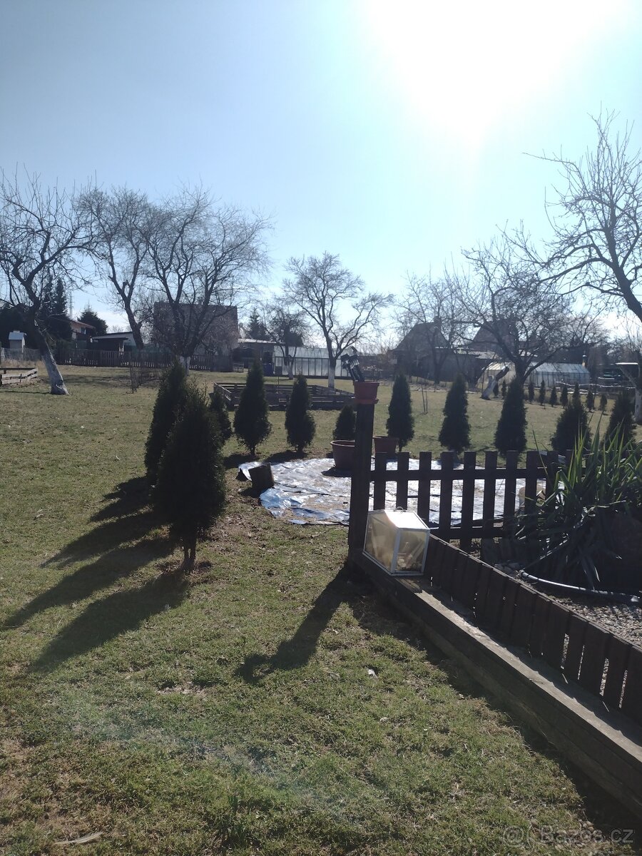 Prodám zahradu - 3