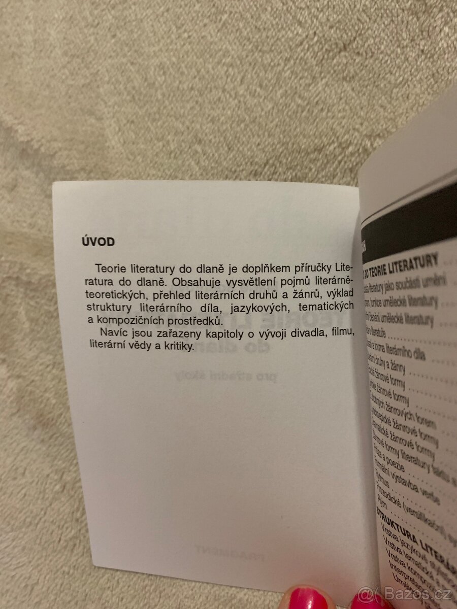 Teorie Literatury - 3