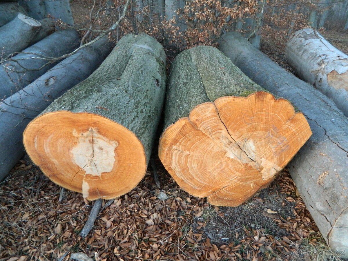 Palivové dřevo tvrdé - 3