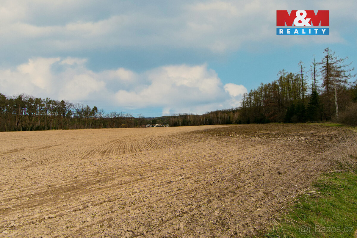 Prodej pole, 5839 m², Předenice - 3