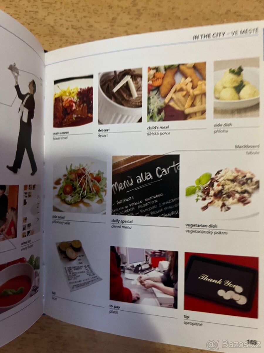 Anglicko -český slovník - 3